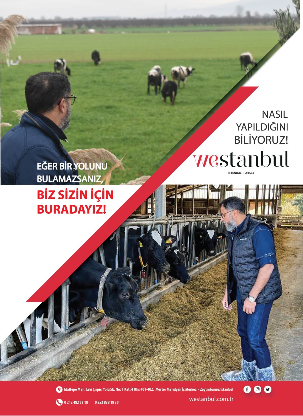 With Westanbul Add New Value to Your Organization