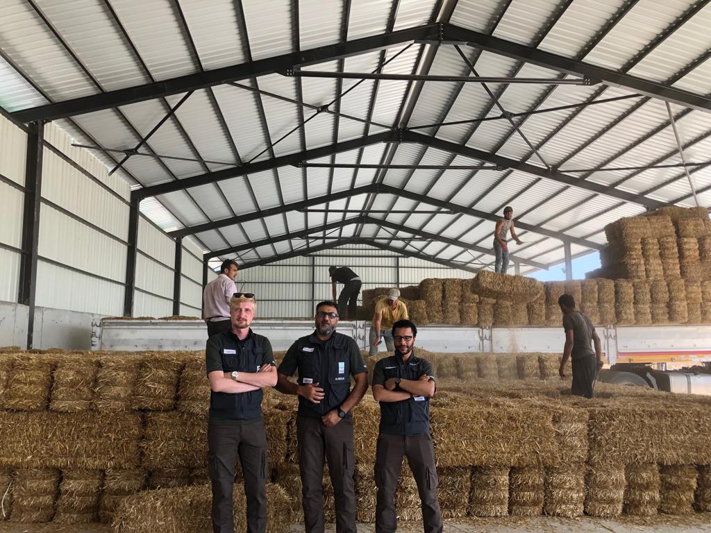 Industrial Agriculture